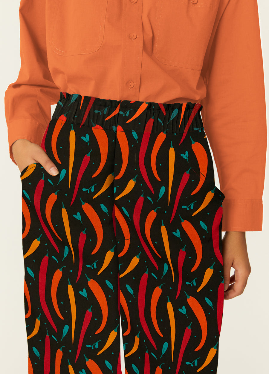 HOT CHILLY BRIEF